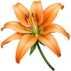 🩷 Эмодзи «-`🩷🧡💛´-» для Telegram
