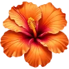 🩷 Эмодзи «-`🩷🧡💛´-» для Telegram