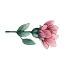 🌷 Эмодзи «‍ Эзотерические вумен эмодзи» для Telegram