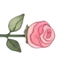 🌷 Эмодзи «‍ Эзотерические вумен эмодзи» для Telegram