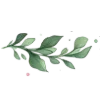 🌿 Эмодзи «‍ Эзотерические вумен эмодзи» для Telegram