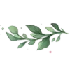 🌿 Эмодзи «‍ Эзотерические вумен эмодзи» для Telegram