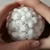 🌟 Эмодзи «ʿʿ Asmr» для Telegram