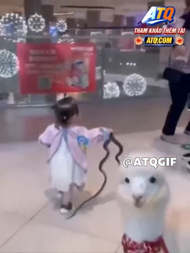 🤩 Стикер «ATQGIF» для Telegram