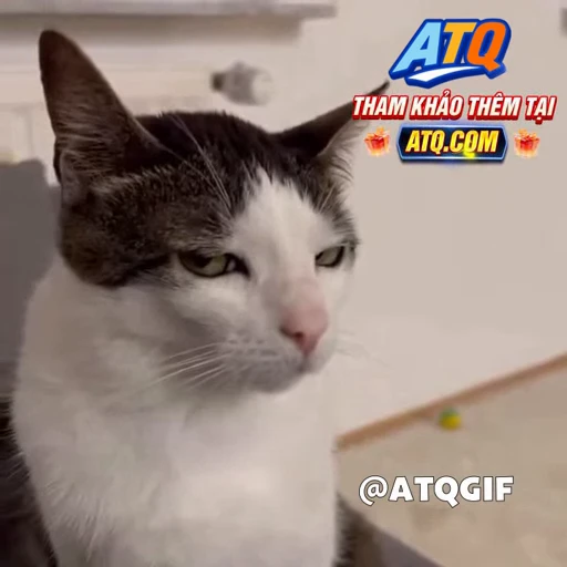 🤩 Стикер «ATQGIF» для Telegram
