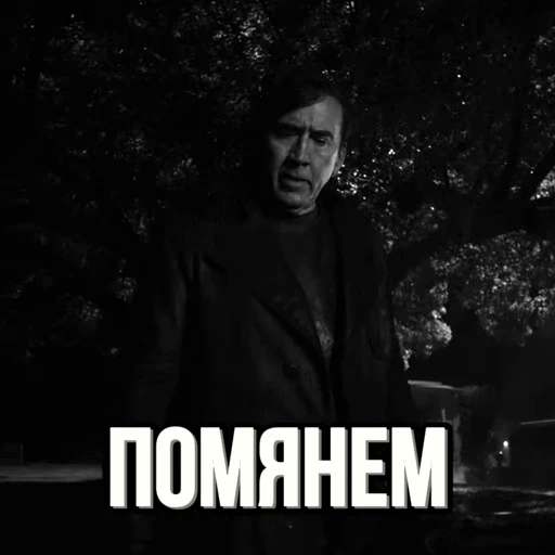 🕷️ Стикер «ПАУК НУАР» для Telegram