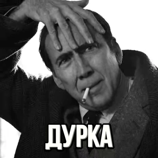 🤡 Стикер «ПАУК НУАР» для Telegram