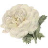 🌹 Эмодзи «Алиса в стране чудес 🍵🤔» для Telegram