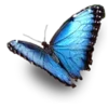 🦋 Эмодзи «Алиса в стране чудес 🍵🤔» для Telegram