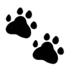 🐾 Эмодзи «Adaptive Emojis» для Telegram