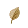 🍂 Эмодзи «Адаптивное» для Telegram