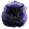 🐈‍⬛ Эмодзи «Adore» для Telegram