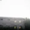🤩 Эмодзи «Альбомчики Обложки» для Telegram