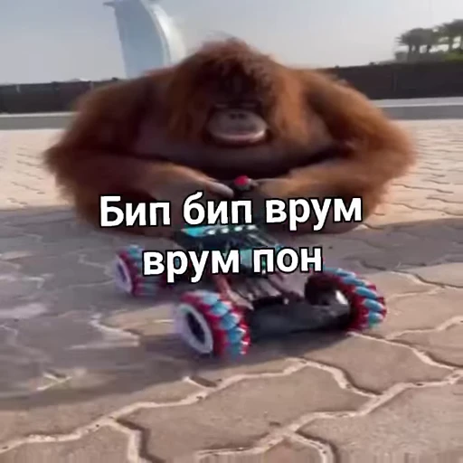 🚙 Стикер «Обезьяна» для Telegram