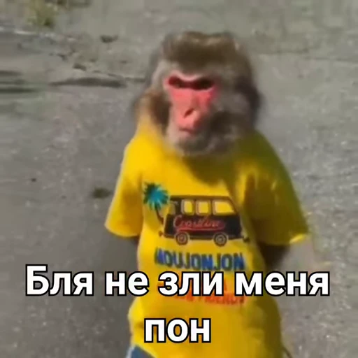 😡 Стикер «Обезьяна» для Telegram