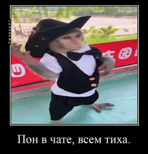 😎 Стикер «Обезьяна» для Telegram