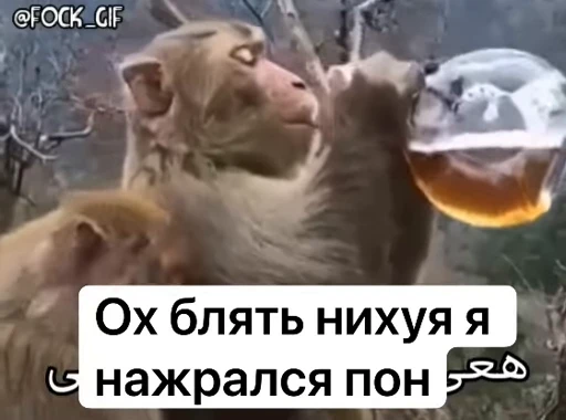 😕 Стикер «Обезьяна» для Telegram