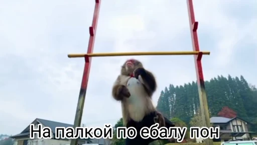 🤗 Стикер «Обезьяна» для Telegram