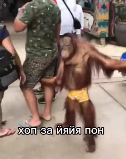 🐒 Стикер «Обезьяна» для Telegram
