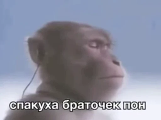 😊 Стикер «Обезьяна» для Telegram