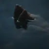 ♠ Эмодзи «Алиса в Пограничье» для Telegram