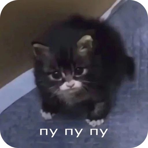 Стикерпак Аля улю для Telegram — скачать