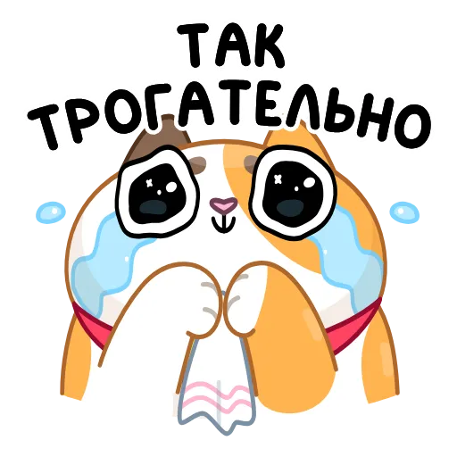 🥲 Эмодзи «Кот Амур» для Telegram