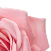 🌹 Эмодзи «Amy Rose» для Telegram