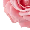 🌹 Эмодзи «Amy Rose» для Telegram