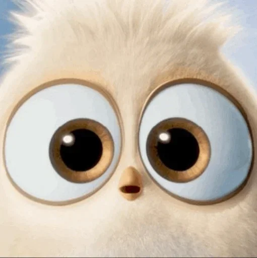 💛 Стикер «Ba Birds» для Telegram