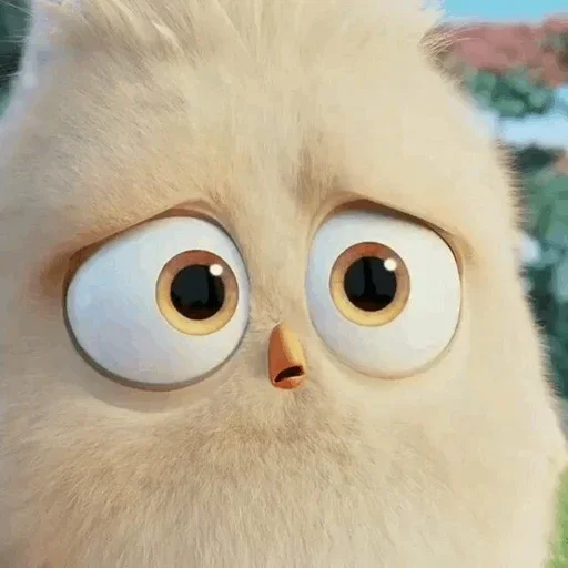 💛 Стикер «Ba Birds» для Telegram