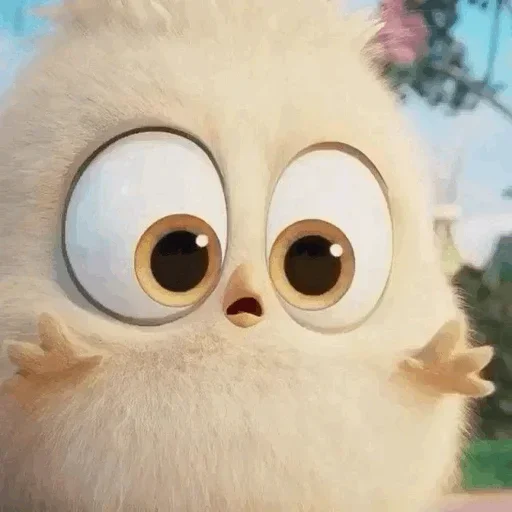 💛 Стикер «Ba Birds» для Telegram