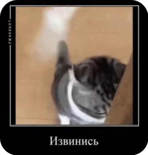 😠 Стикер «кыцька» для Telegram