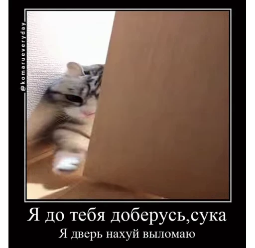 😤 Стикер «кыцька» для Telegram