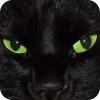 🤩 Эмодзи «Котячьи мордочки» для Telegram
