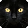 🤩 Эмодзи «Котячьи мордочки» для Telegram