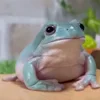 👀 Эмодзи «Animals» для Telegram