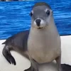 😁 Эмодзи «Animals» для Telegram