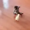 ✋ Эмодзи «Animals» для Telegram