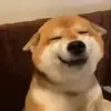 😊 Эмодзи «Animals» для Telegram