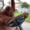 🦧 Эмодзи «Animals» для Telegram