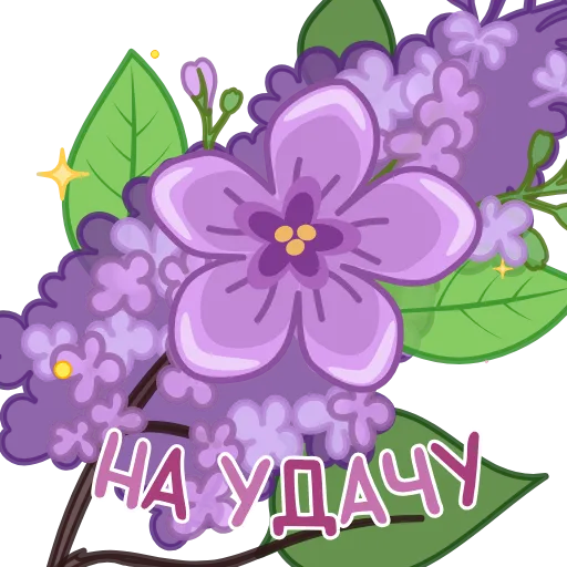 🪻 Эмодзи «Анимированный набор эмоджи с открытками» для Telegram
