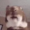 🐰 Эмодзи «Animated Rzhombiks» для Telegram