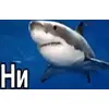🦈 Эмодзи «Animated Rzhombiks» для Telegram