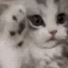 😊 Эмодзи «Animated Rzhombiks» для Telegram