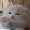 ❤️ Эмодзи «Animated Rzhombiks» для Telegram