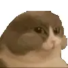 🐱 Эмодзи «Animated Rzhombiks» для Telegram