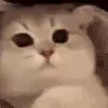 😊 Эмодзи «Animated Rzhombiks» для Telegram