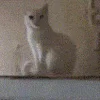 👋 Эмодзи «Animated Rzhombiks» для Telegram