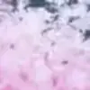 🌸 Эмодзи «Animated» для Telegram